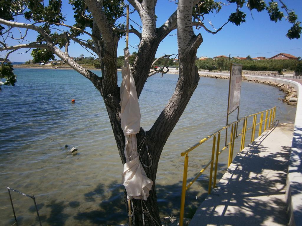 Zobic Family Apartments Ραμπ Εξωτερικό φωτογραφία